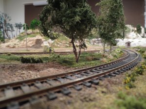Scenic Trees 005.jpg