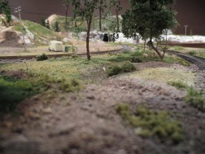 Scenic Trees 006.jpg