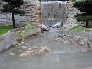 IMG_2405.jpg