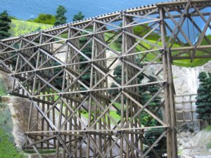 IMG_2420.jpg