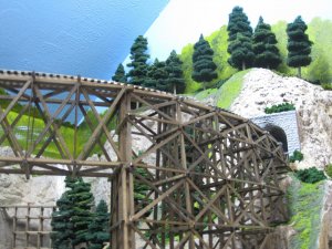 IMG_2421.jpg
