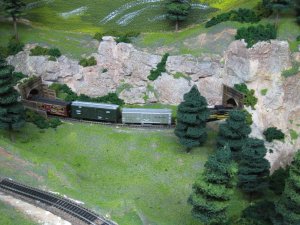 IMG_2413.jpg