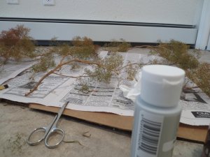 Super trees 001.jpg
