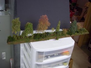 100_1382.jpg