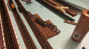 20160204_125319.jpg