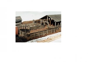 stock yards.jpg