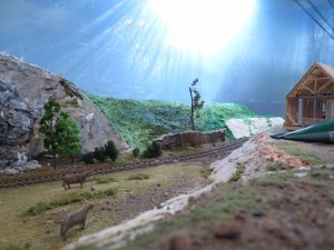 Backdrop4 007.jpg