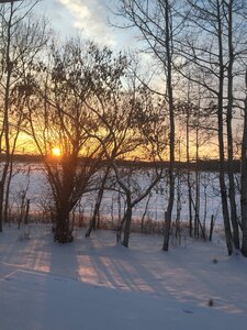 IMG_1113.JPG