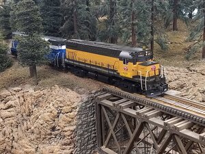 IMG_20210227_171559214.jpg