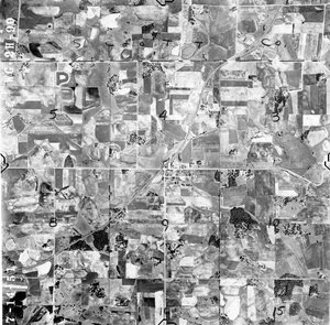 Webster1951.jpg