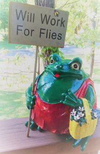 froggy (2).jpg