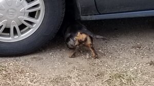 thumbnail_20210429_120728.jpg