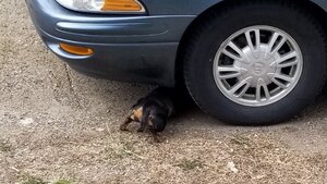thumbnail_20210429_120756.jpg
