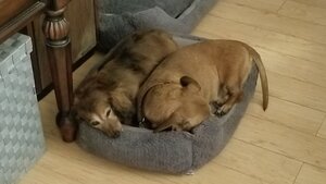 20180426_041432.jpg