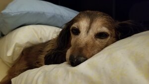 thumbnail_20210116_204744.jpg