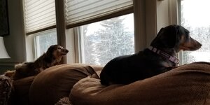 thumbnail_20210104_111145.jpg
