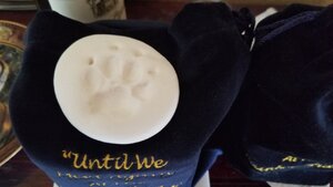 thumbnail_20210518_141149.jpg