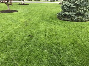 IMG_4118.jpg