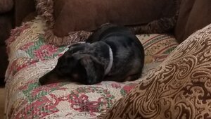 thumbnail_20210531_152153.jpg