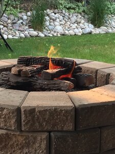 IMG_1259.JPG