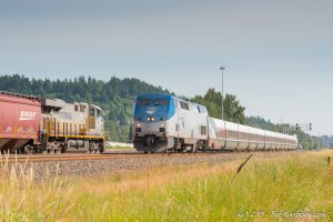 DSC_8407.jpg