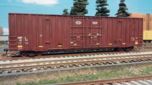 MRL 8174  5.jpg