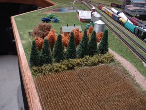 Farm tree rows.JPG
