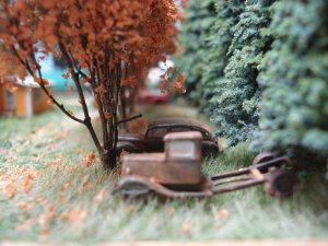 Farm tree row 2.JPG