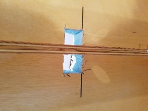 20160428_110207.jpg
