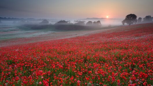11Nov - Lest We Forget.jpg