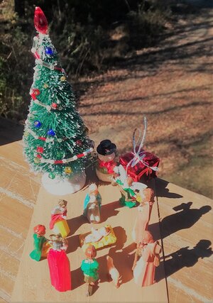 11.27.21 nativity 2.jpg