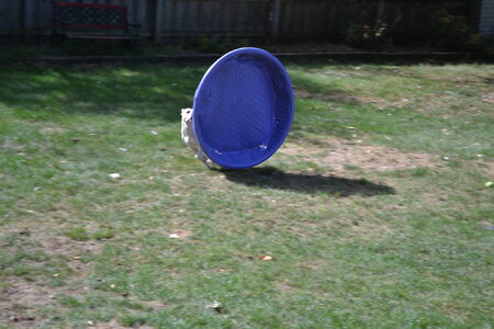 DSC_0121.JPG