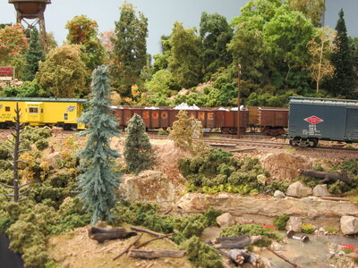 Woods Scene.JPG