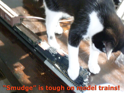Smudge.002.JPG