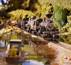 FNR Swamp train 3.jpg