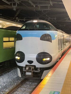 IMG_1650.jpeg