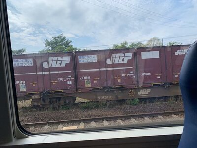 IMG_2040.jpeg