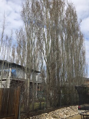 IMG_1555.JPG
