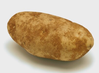 potato.jpg