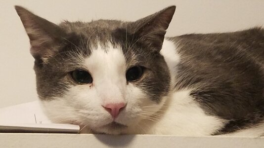 20201122_214933.jpg