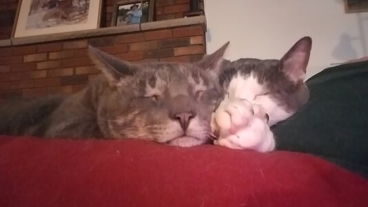 20210112_200234.jpg