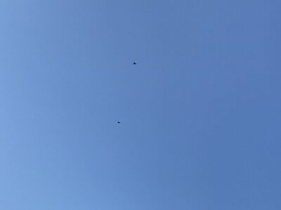 057496BC-1449-4385-8EF4-4269ACADAA41.jpeg