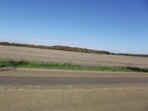 DSCF4337.jpg