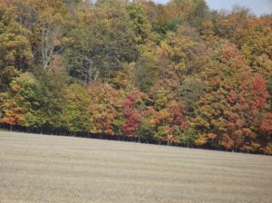 DSCF4338.jpg