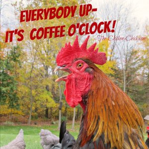 coffee2.jpg