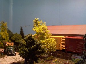 11-13-16 -- 003.jpg