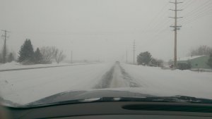 IMAG0981.jpg