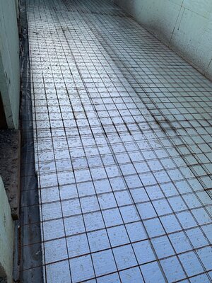 IMG_6061.jpeg