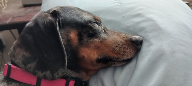 thumbnail_20220921_163012.jpg
