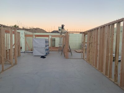 IMG_6175.jpeg